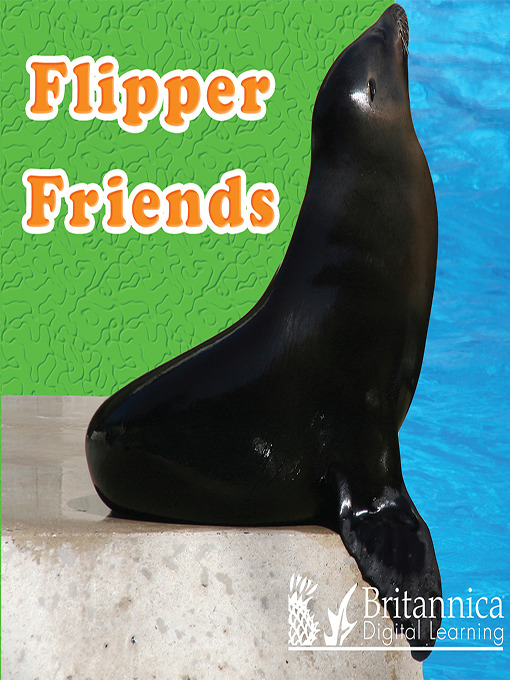 Cover image for Flipper Friends